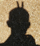 shadow-536_640klein.jpg