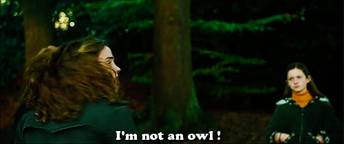 im-not-an-owl-hermione-granger-harry-potter.gif
